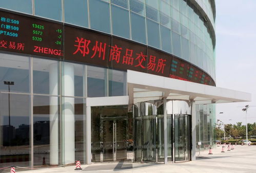 河南政府網 11項重點任務 河南發文支持鄭州商品交易所優勢再造