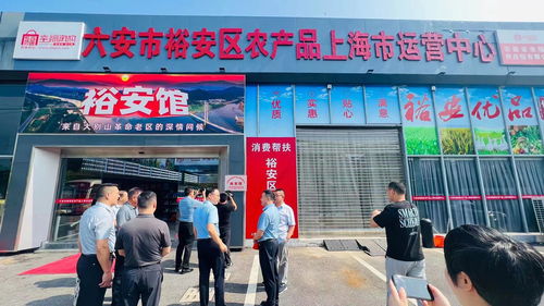 振興小步 來自大別山的問候 皖西大白鵝擺上了上海餐桌