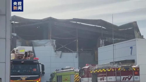 最新消息 有10余位中國公民遇難