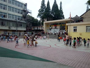 教科學(xué)子調(diào)研滁州市幼兒園課程體系建設(shè)情況