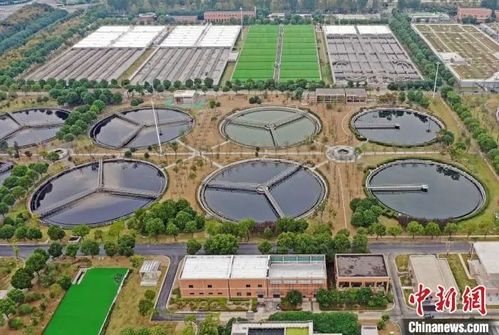 污水廠實現(xiàn)了 豪飲 千噸 啤酒 珠聯(lián)璧合,每年節(jié)約成本上百萬