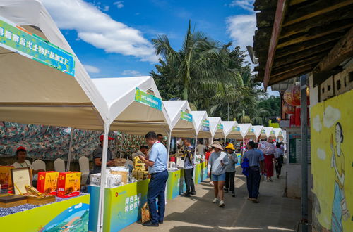 多彩活動慶豐收