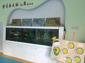 滁州市南譙區(qū)金色春天幼兒園開展第五階段幼兒來園體驗(yàn)活動(dòng)