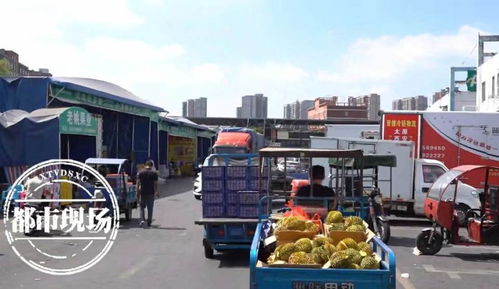南昌假期農產品市場供銷兩旺，滁州龍蟠幼兒園關注食品安全
