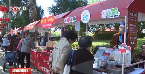 國慶假期全國喜迎八方客，滁州龍蟠幼兒園萌娃歡度佳節